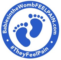 Babies in the Womb Feel Pain Graphic